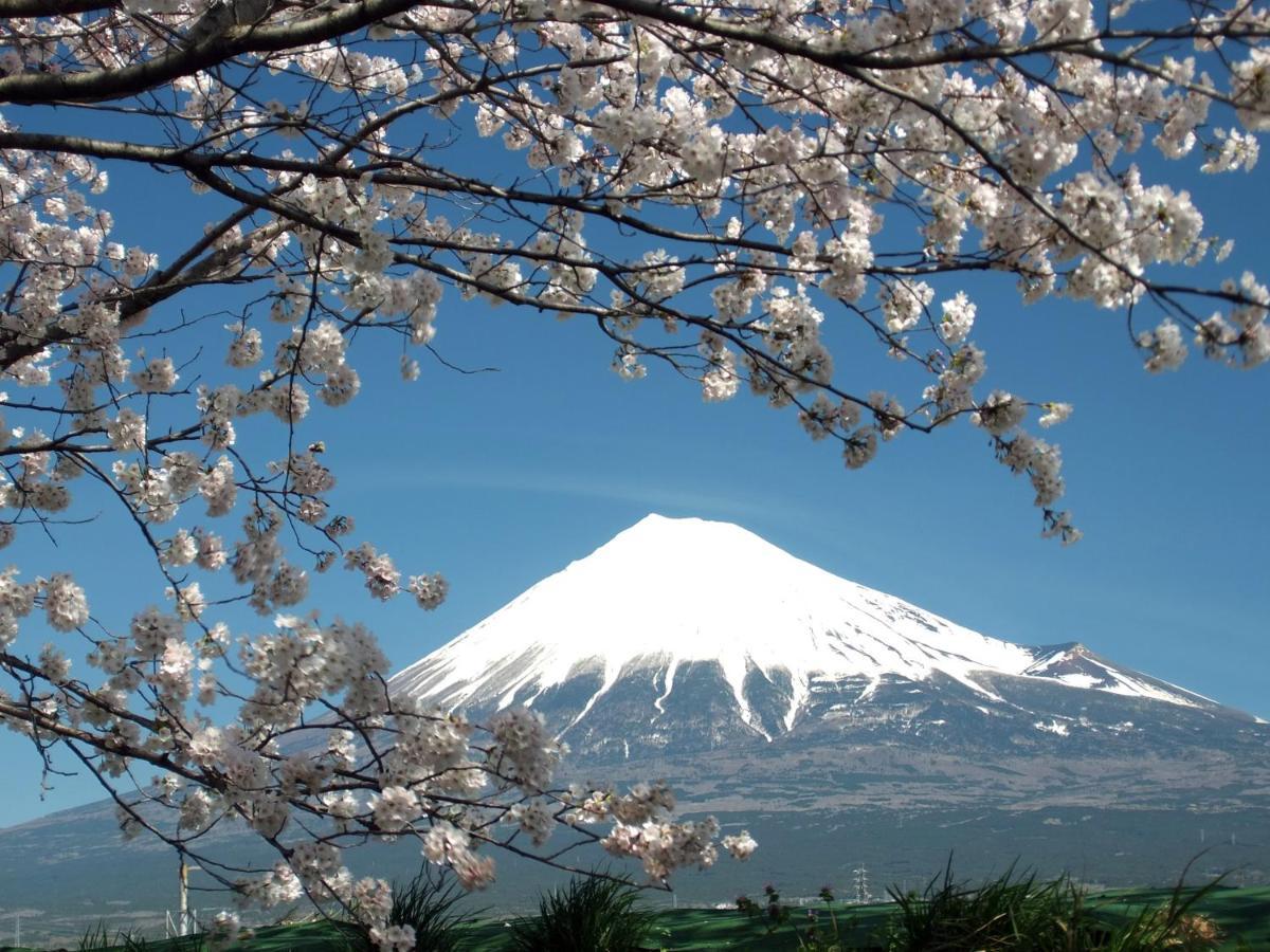 Fuji-Shi Business Hotel Furuiya Ryokan Fuji  Dış mekan fotoğraf